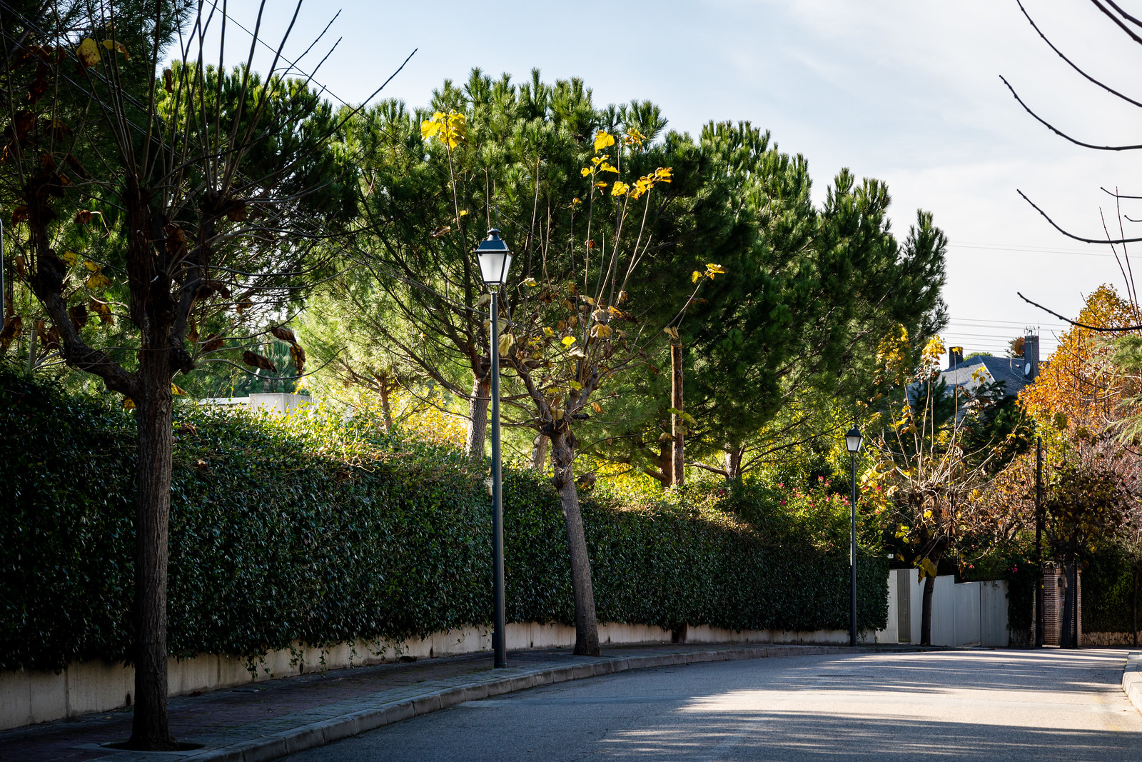 Iluminación Inteligente para el ayuntamiento de Pozuelo de Alarcón 